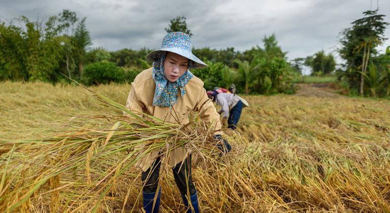 UN and partners meet to address ‘critical’ state of global food crisis